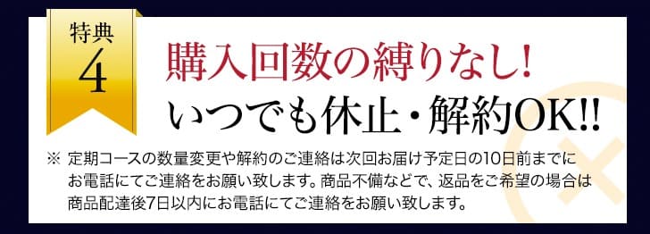 シートラス　最安値