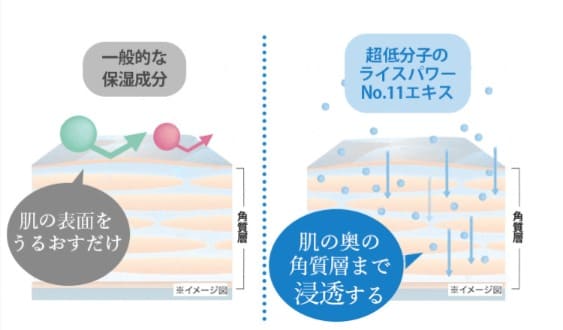 ライスフォース化粧水 販売店